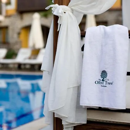 The Olive Tree
