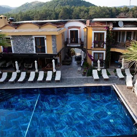 Hotel The Olive Tree