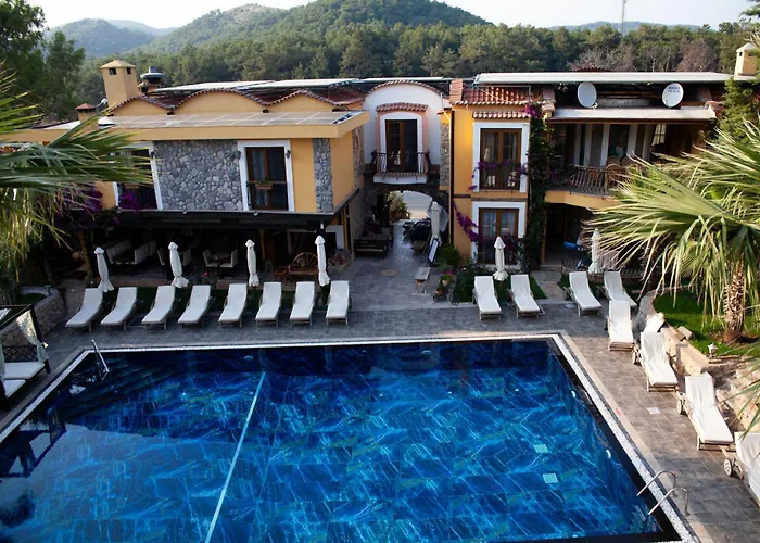 Hotel The Olive Tree