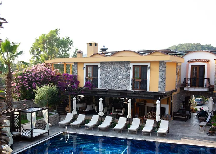 The Olive Tree Fethiye